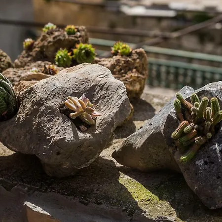 Private Niko Apartment