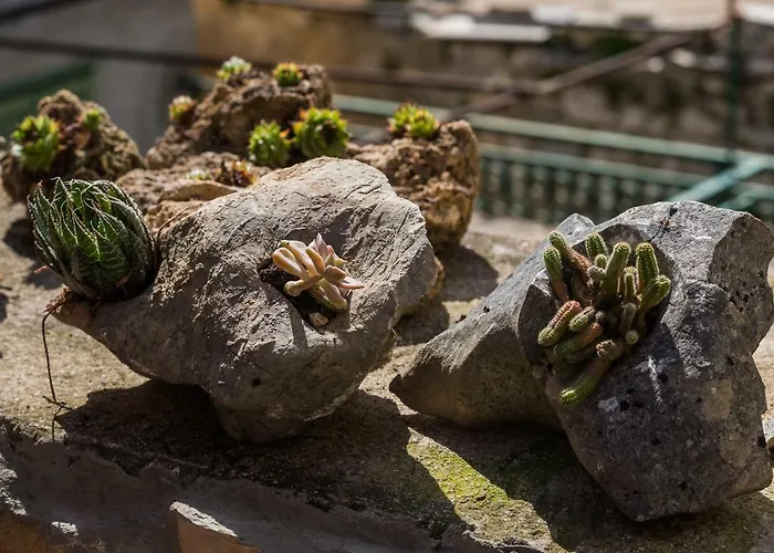 Private Niko Apartment